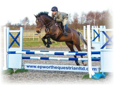 showjumping