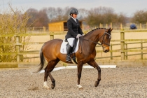 Epworth Dressage