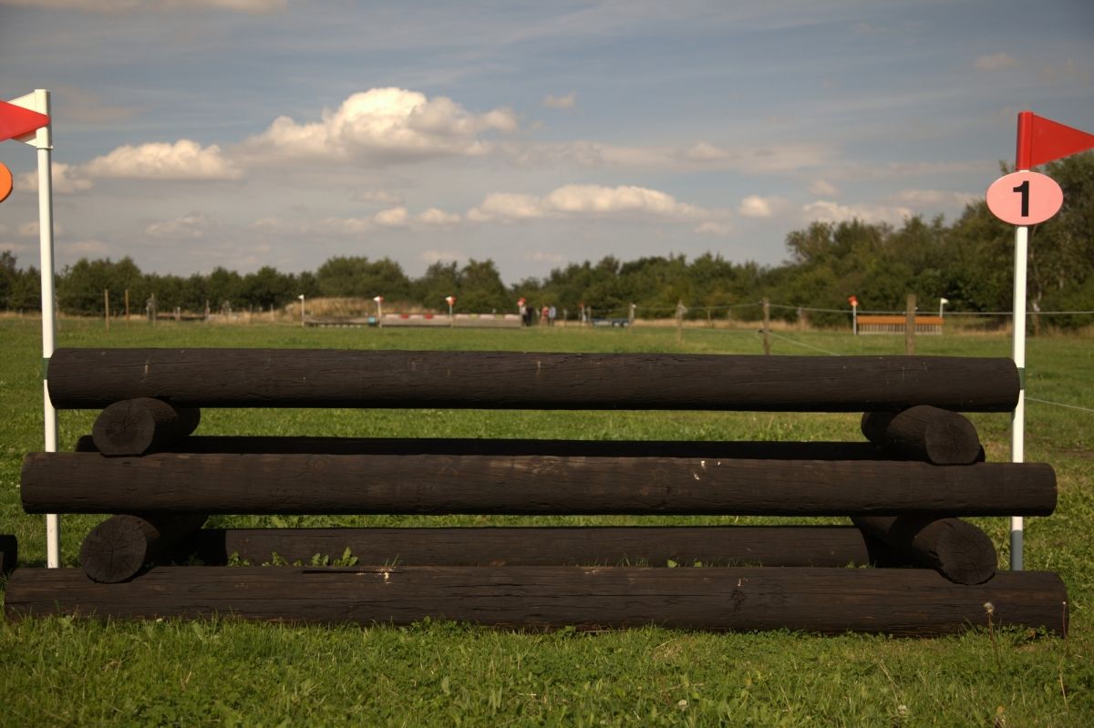 Fence 1